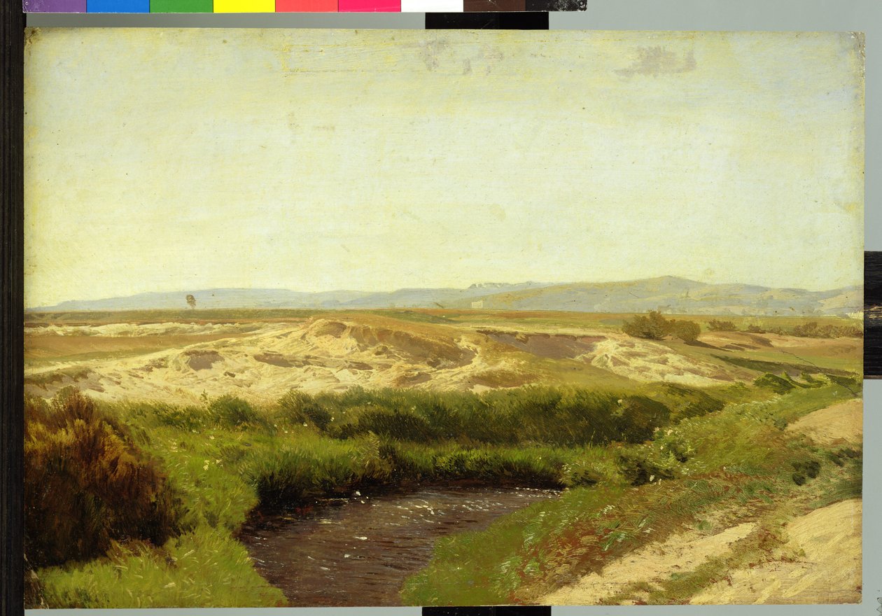 Op de Luneburger Heide, 1887 door Valentin Ruths
