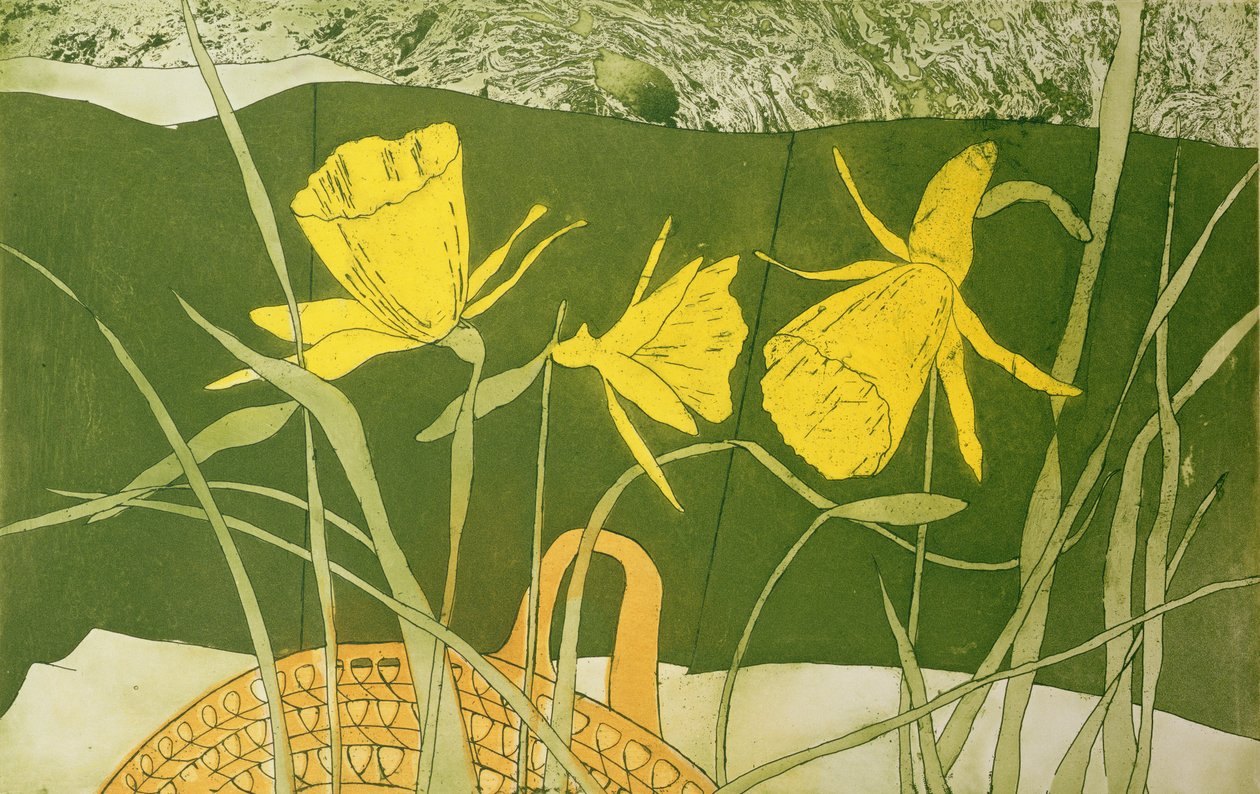 Narcissen door Valerie Daniel