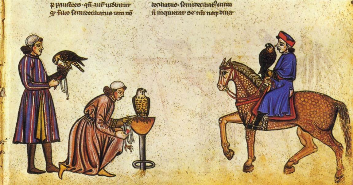 Valkenboek van Frederik II door Vatican Library