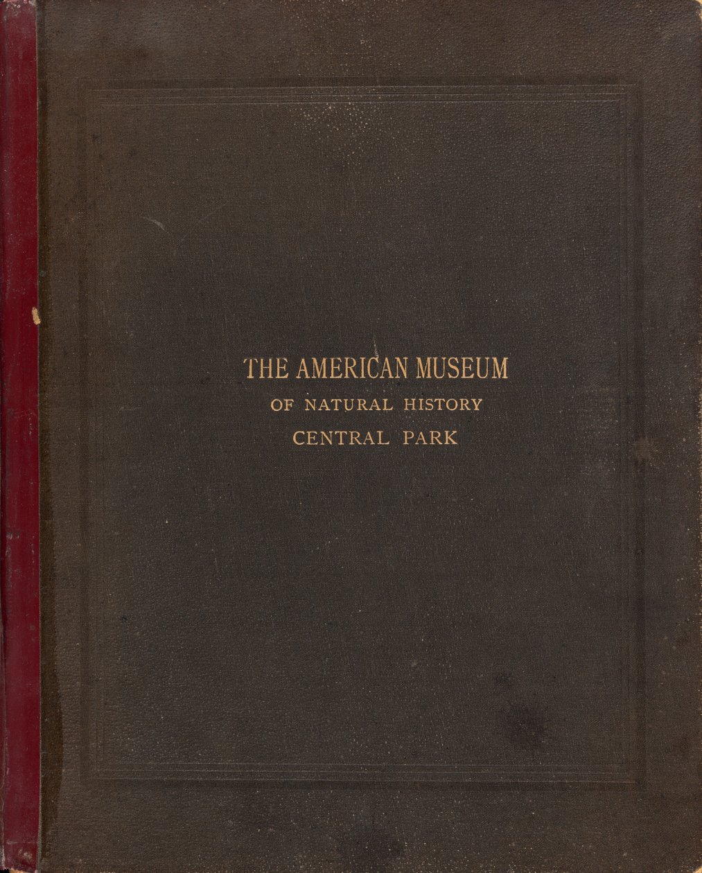 Het fotografische album van het American Museum of Natural History, Central Park, New York City door Victor Prevost, Gaston L. Feuardent and Co., New York