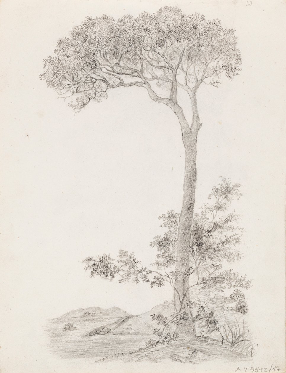 Bomen door Victoria Åberg