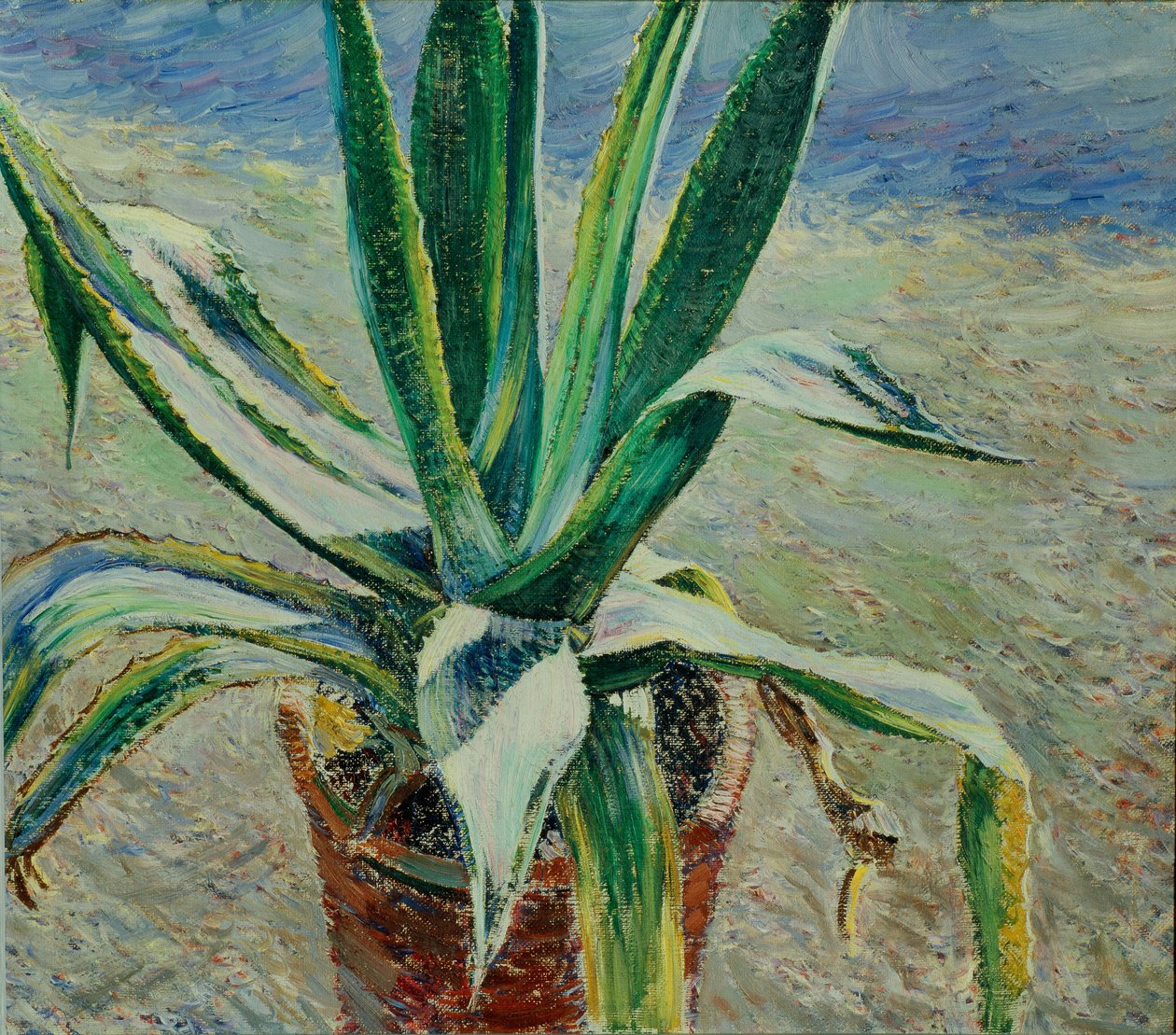 Agave door Viktor Elpidiforovich Borisov Musatov