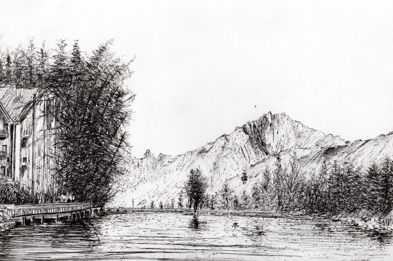 Crans Zwitserland, 2009 door Vincent Alexander Booth