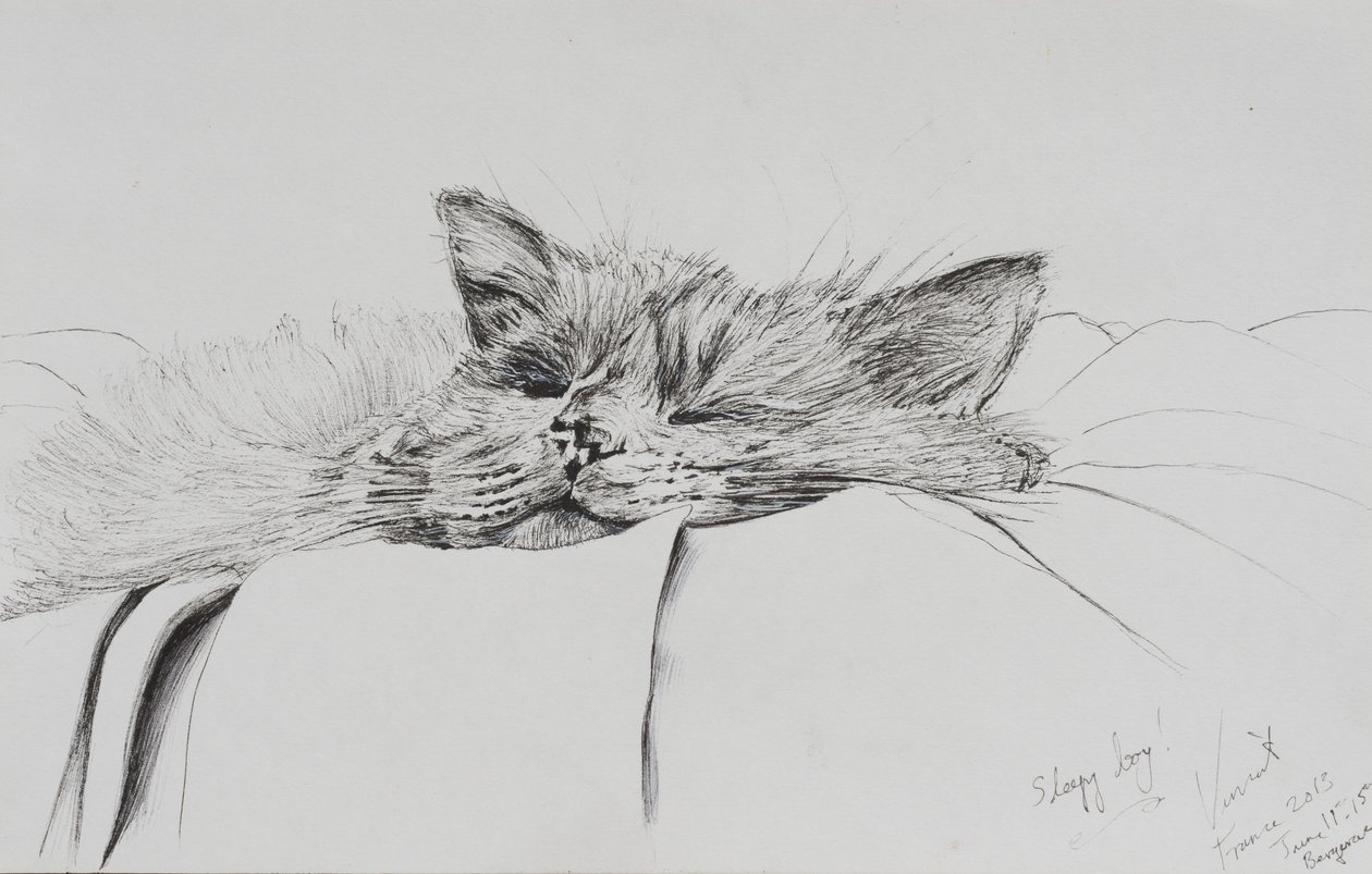 Monty slaperige jongen, 2013 door Vincent Alexander Booth