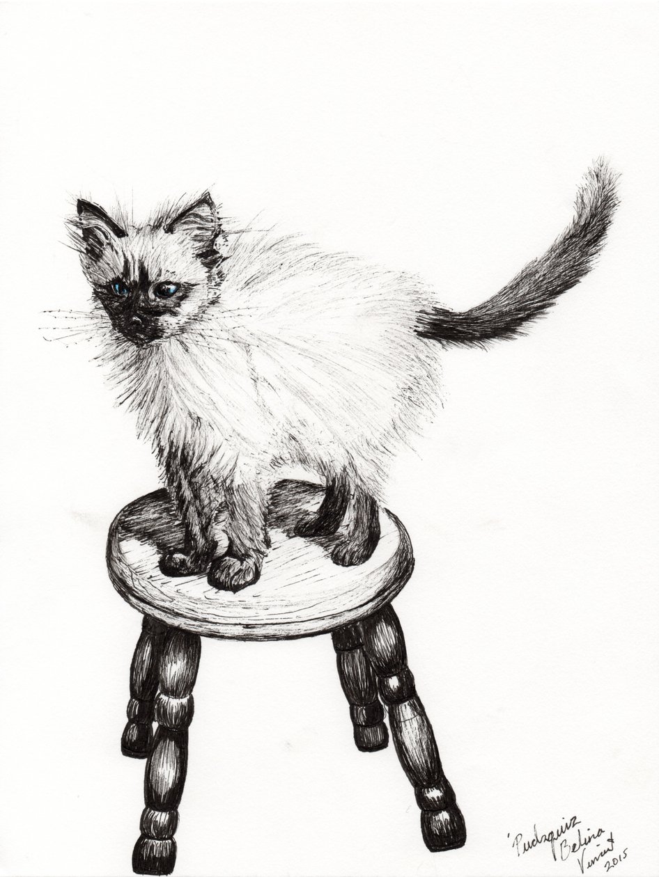 Pudsquiz Belina, 2015 door Vincent Alexander Booth