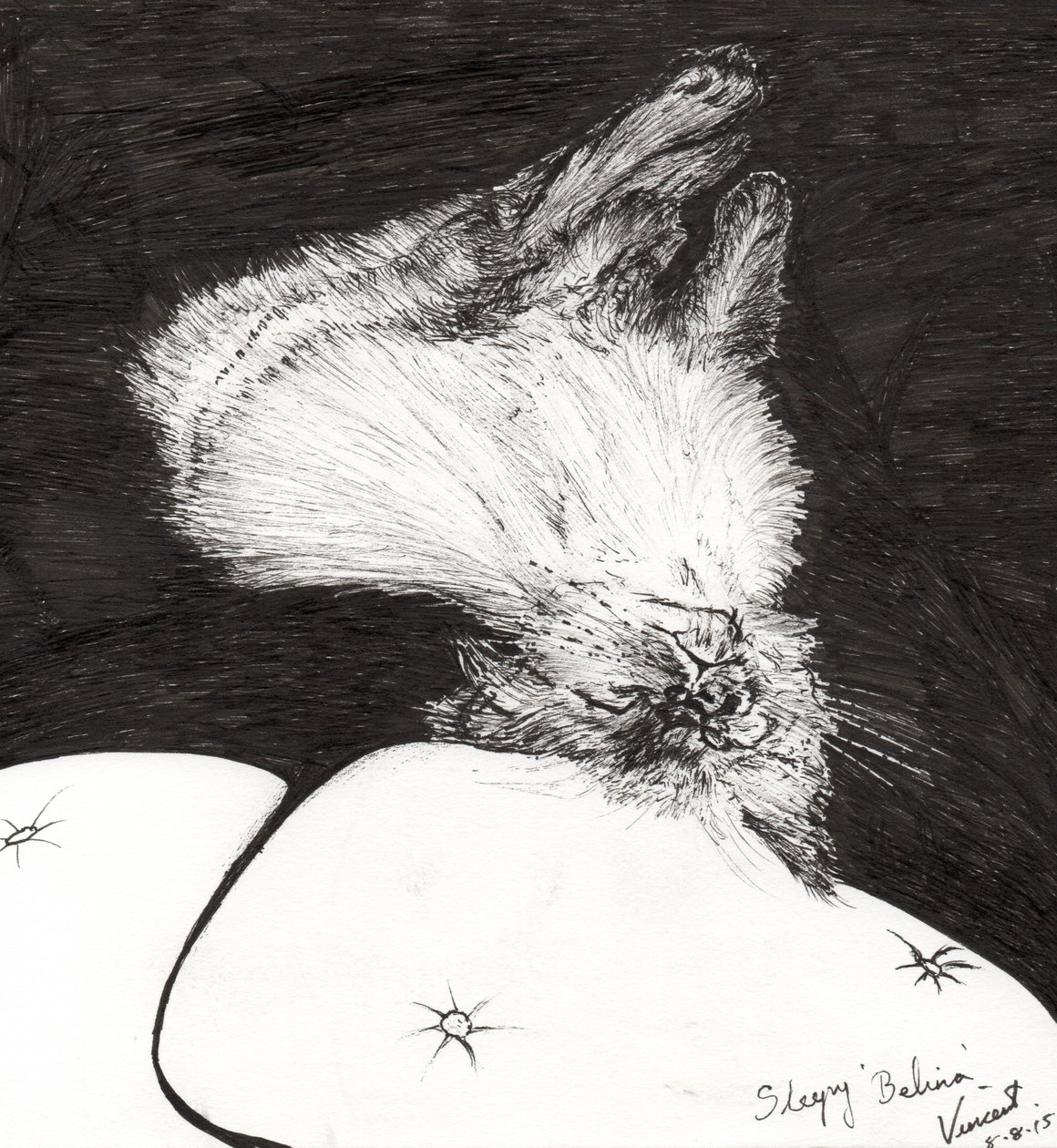 Slaperige Belina, 2015 door Vincent Alexander Booth