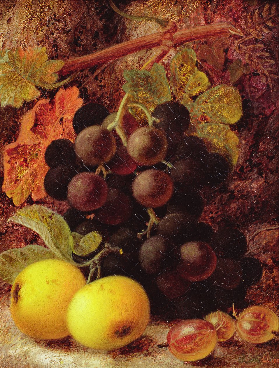 Druiven, appels en kruisbessen door Vincent Clare
