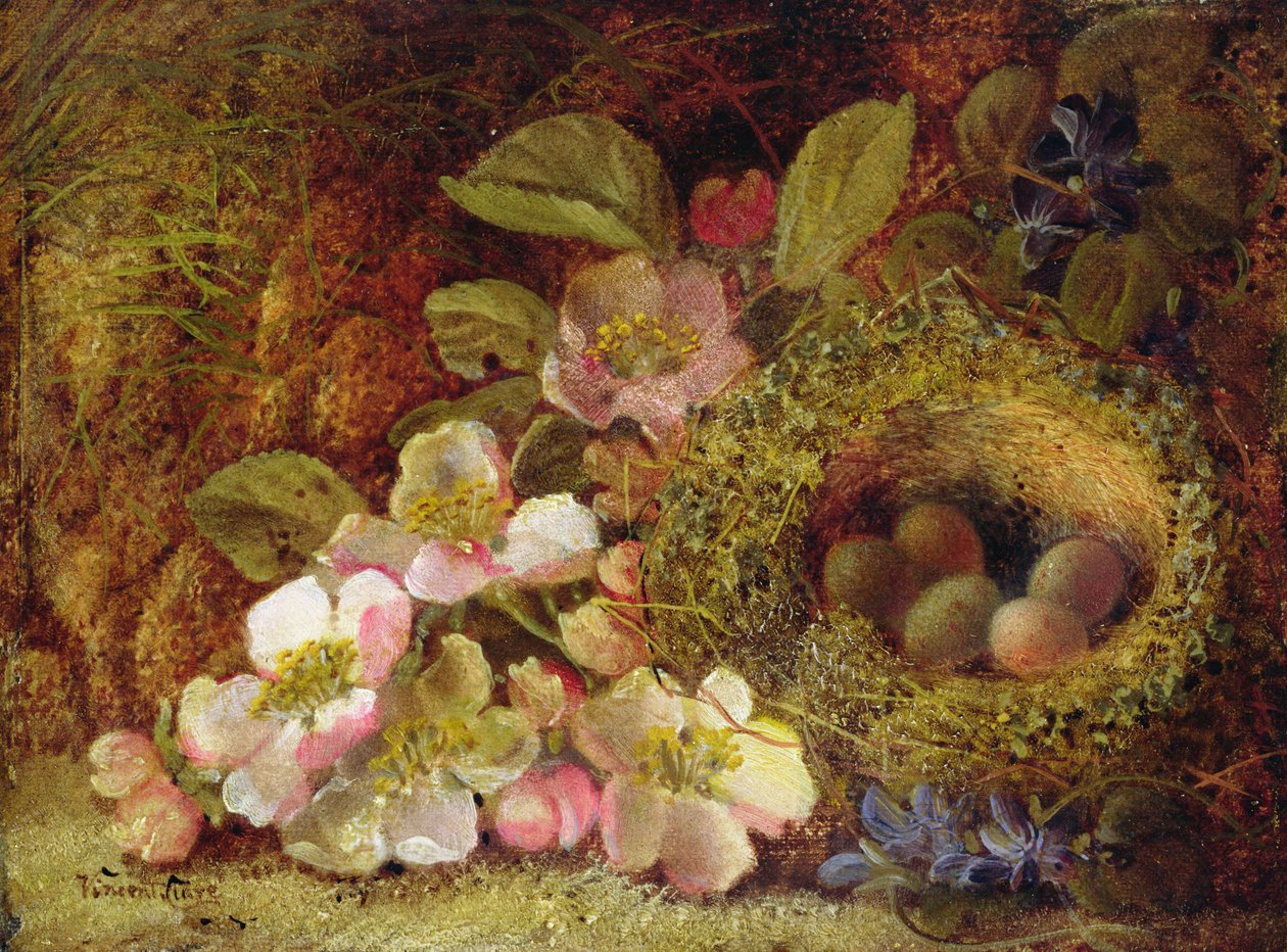 Lente door Vincent Clare