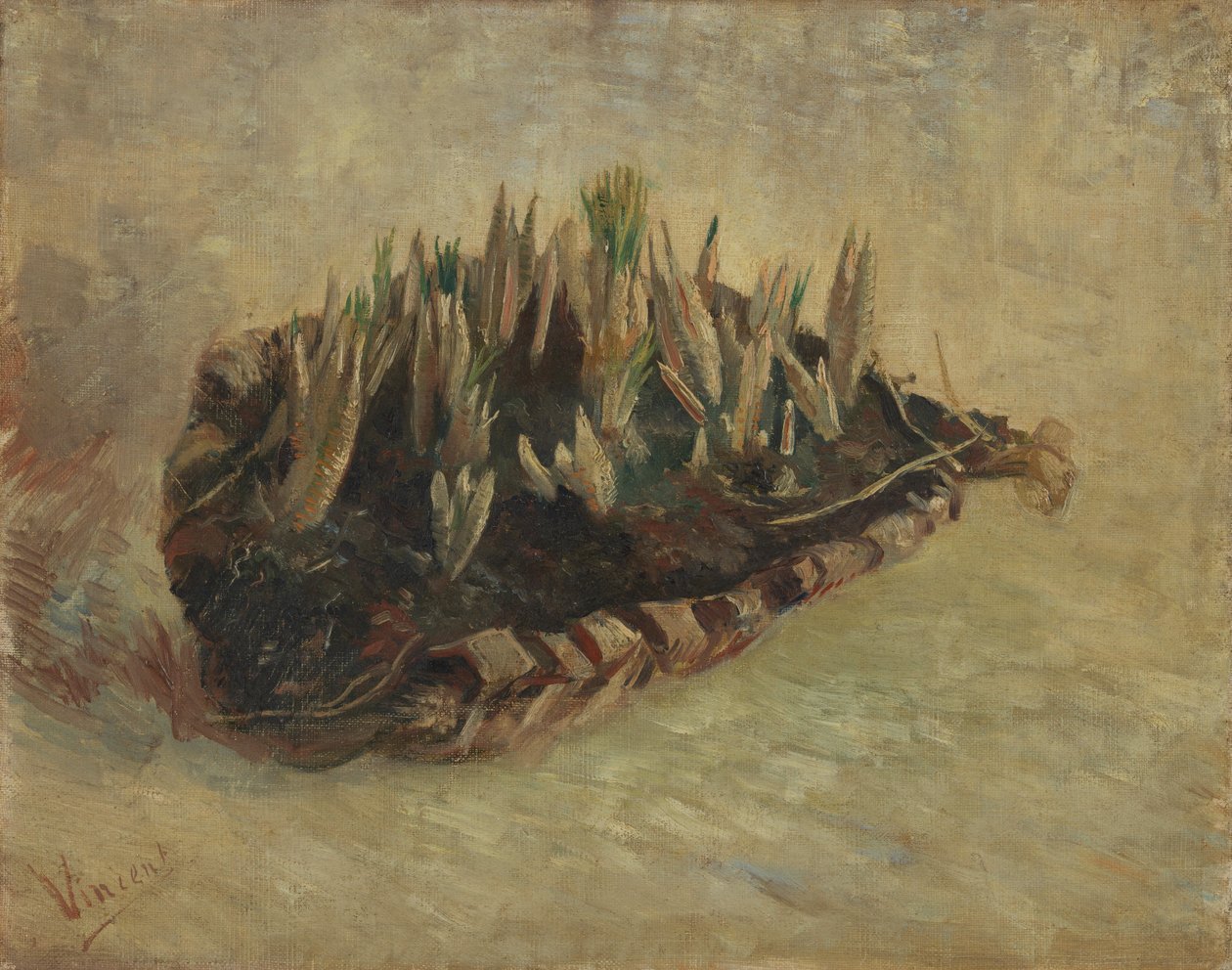 Mand met Krokusbollen door Vincent van Gogh