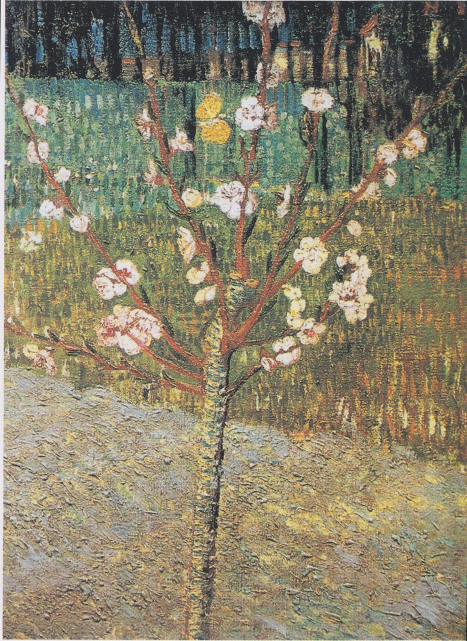 Bloeiende amandelboom door Vincent van Gogh