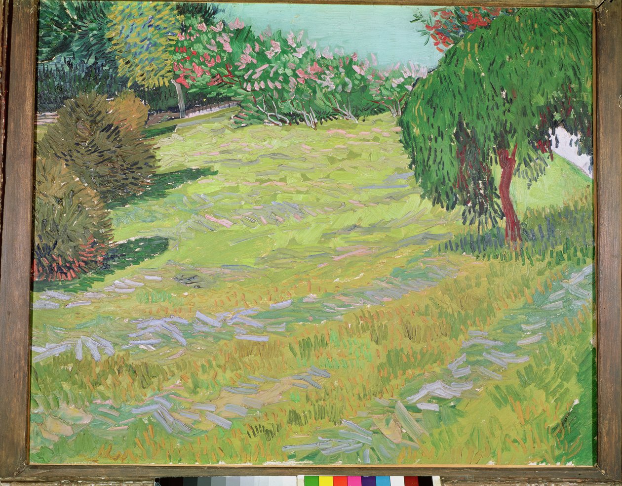 Veld met Treurwilg, 1888 door Vincent van Gogh