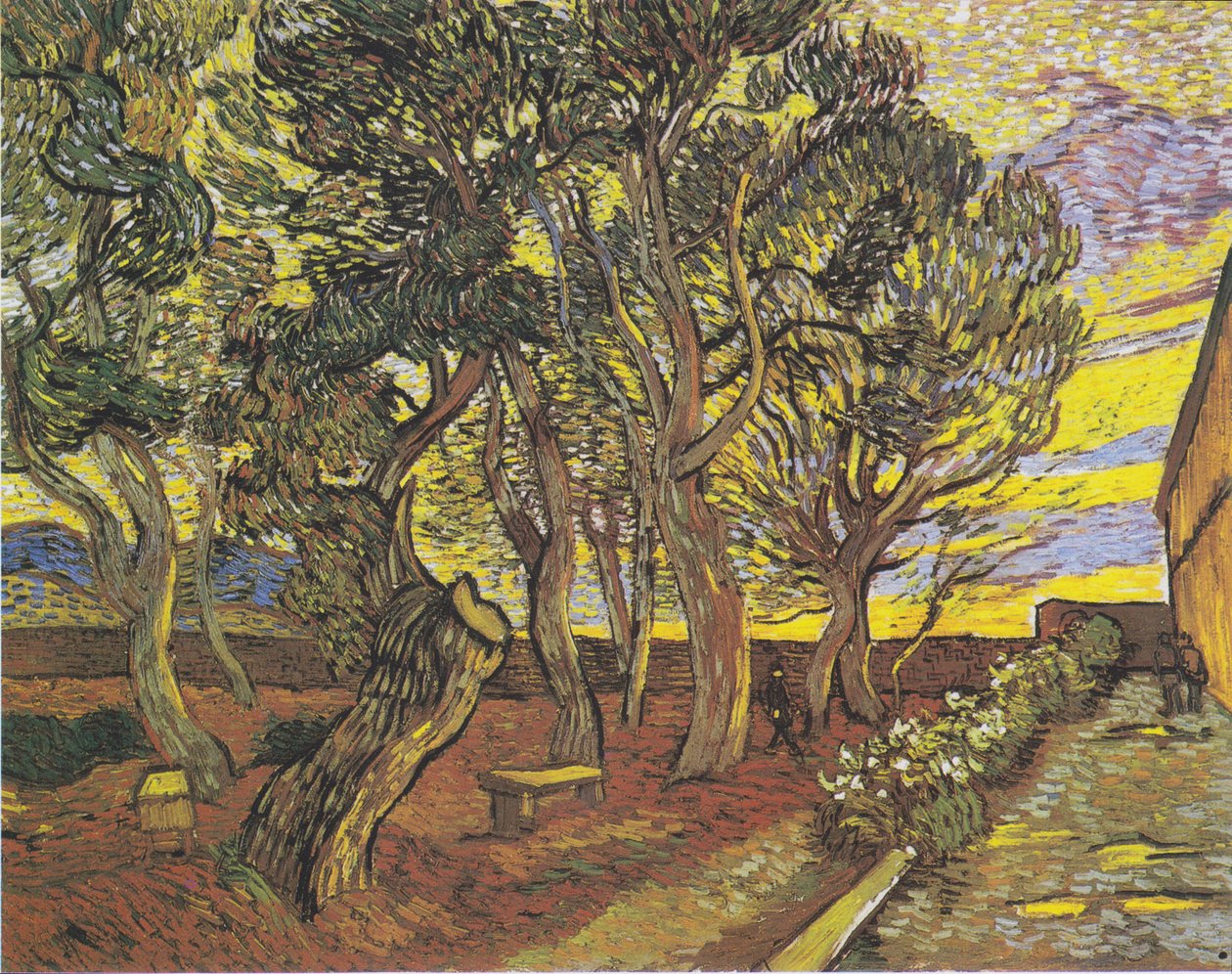 Tuin van het ziekenhuis Saint-Paul door Vincent van Gogh
