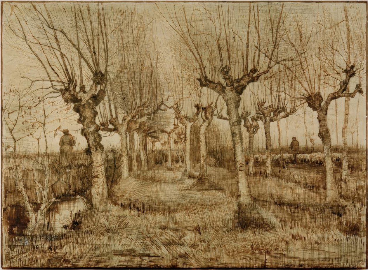 Knotwilgen door Vincent van Gogh