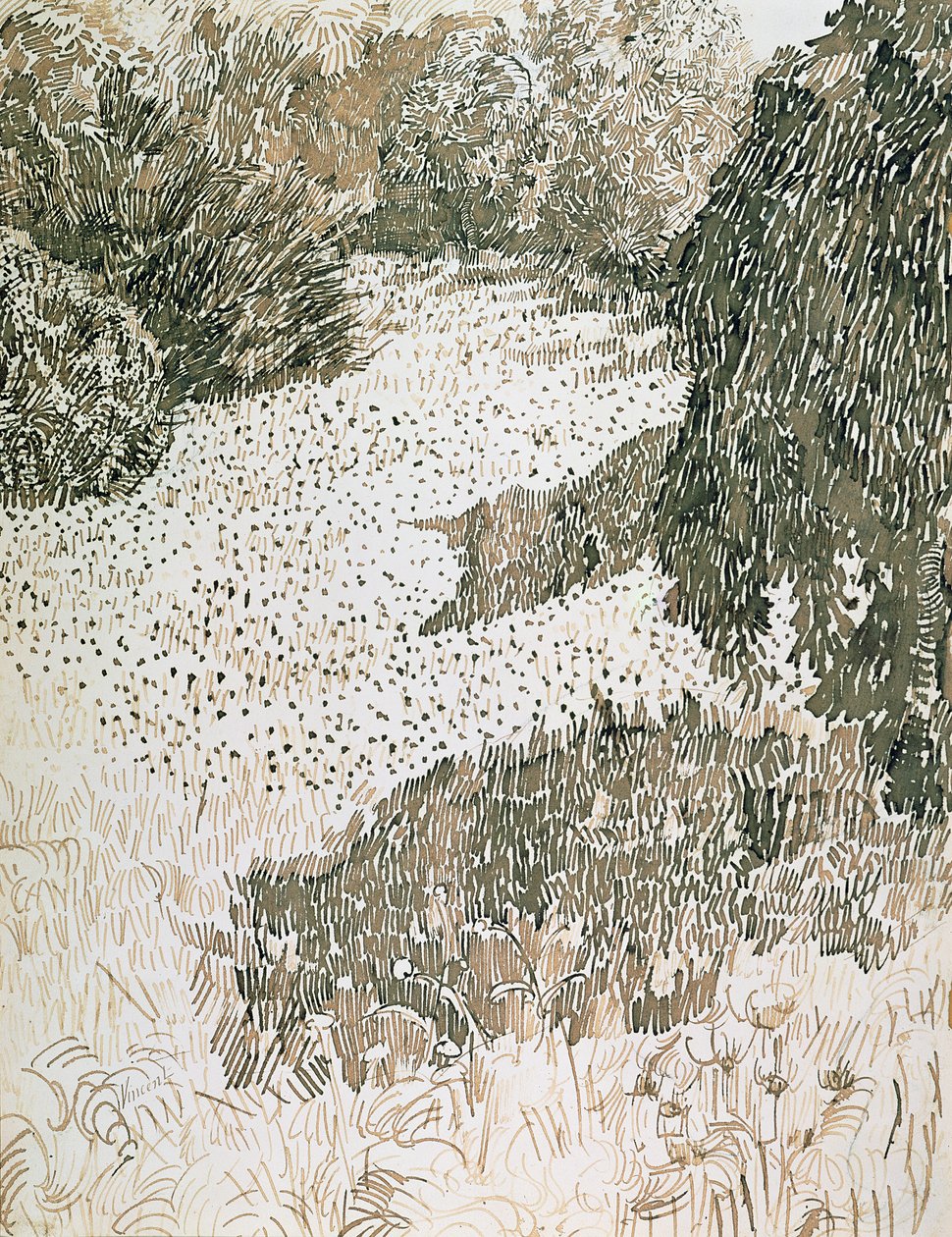 De hoek van het park, 1888 door Vincent van Gogh