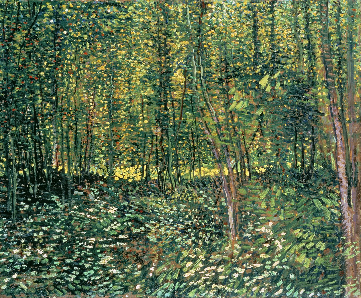 Bomen en ondergroei, 1887 door Vincent van Gogh