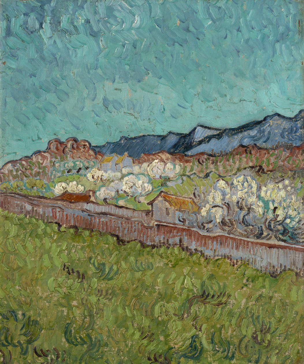 Uitzicht op de Alpilles door Vincent van Gogh