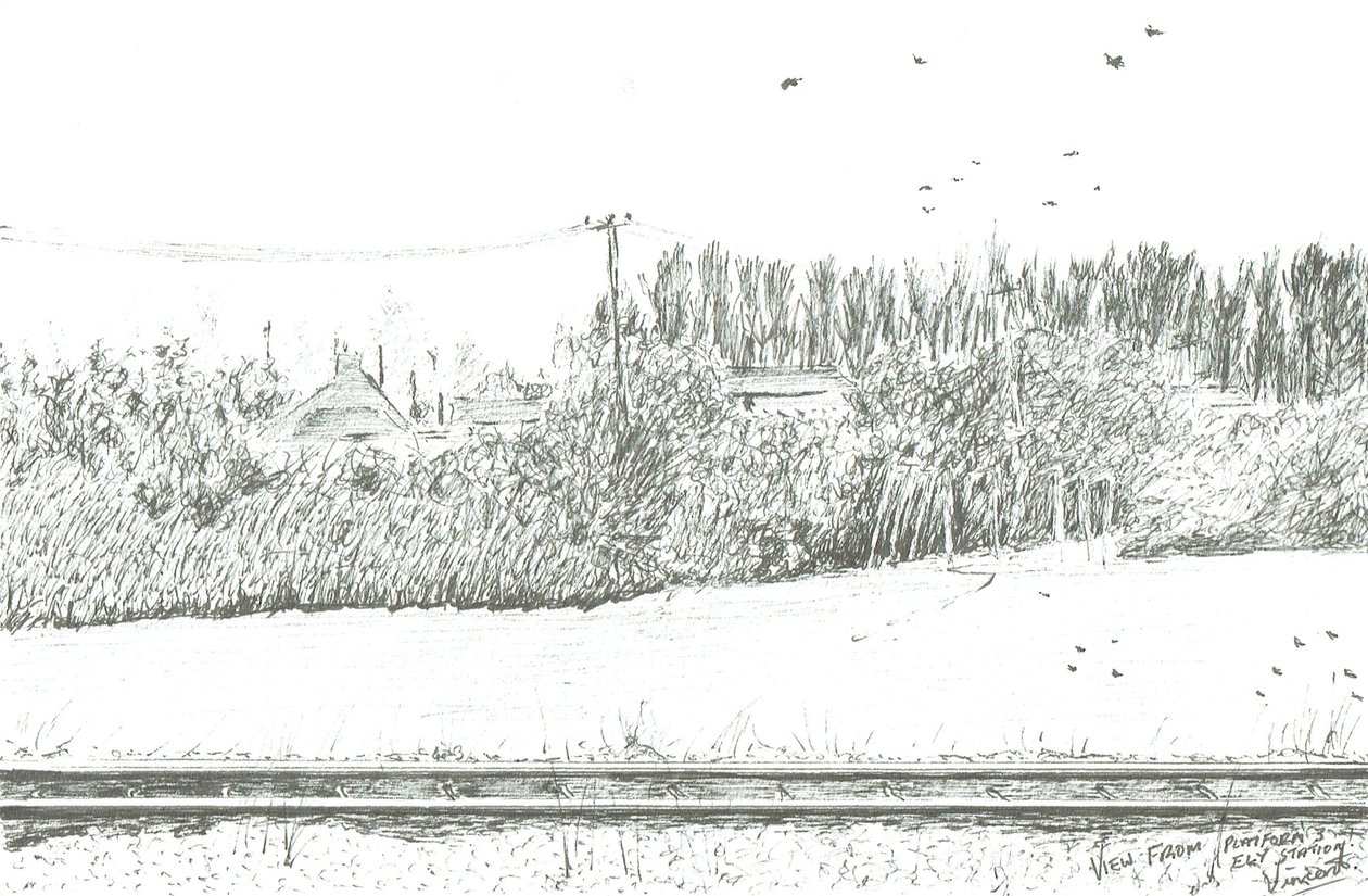 Uitzicht op station Ely vanaf perron 3, 2005 door Vincent Alexander Booth