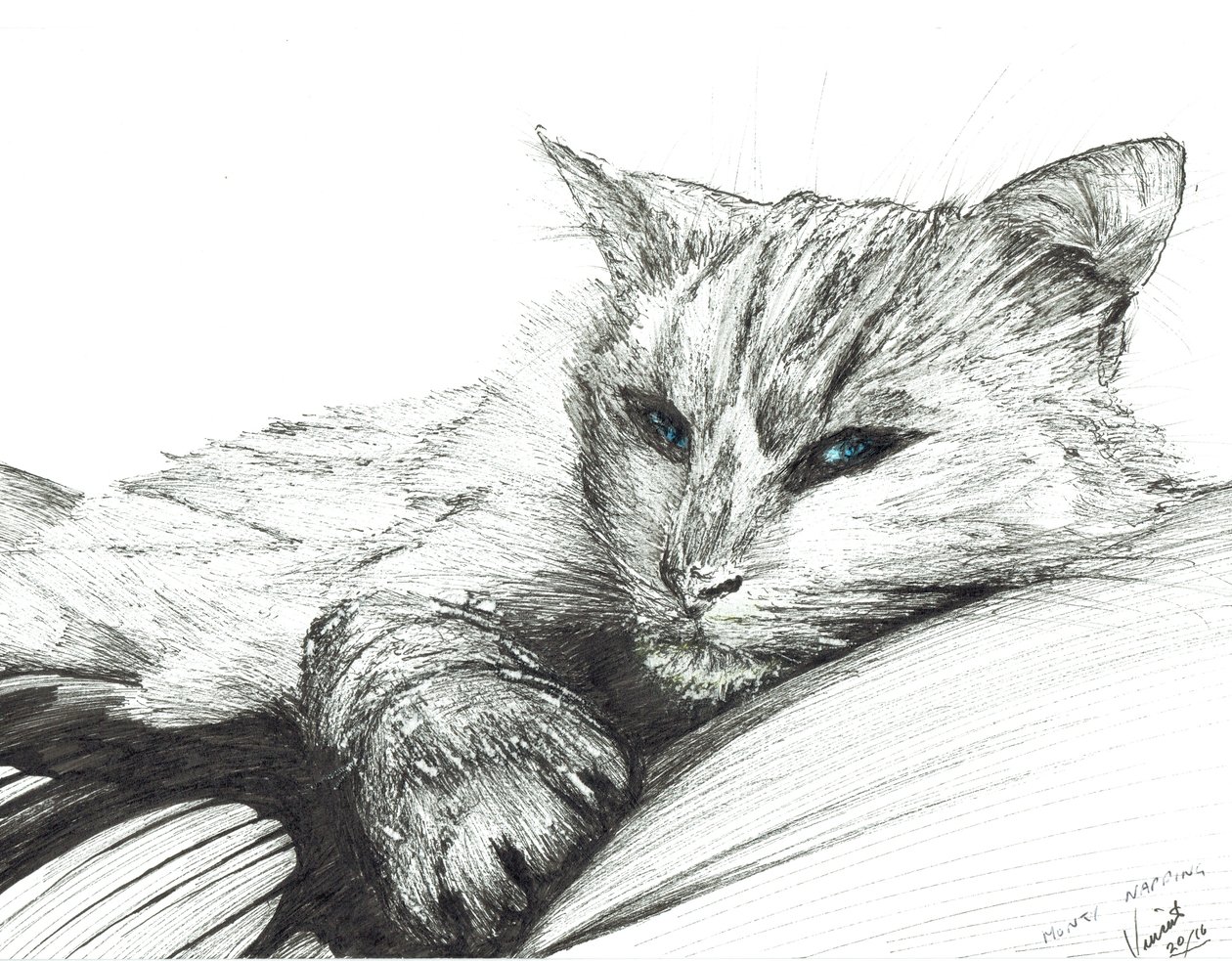 Monty, slapend, 2016 door Vincent Alexander Booth