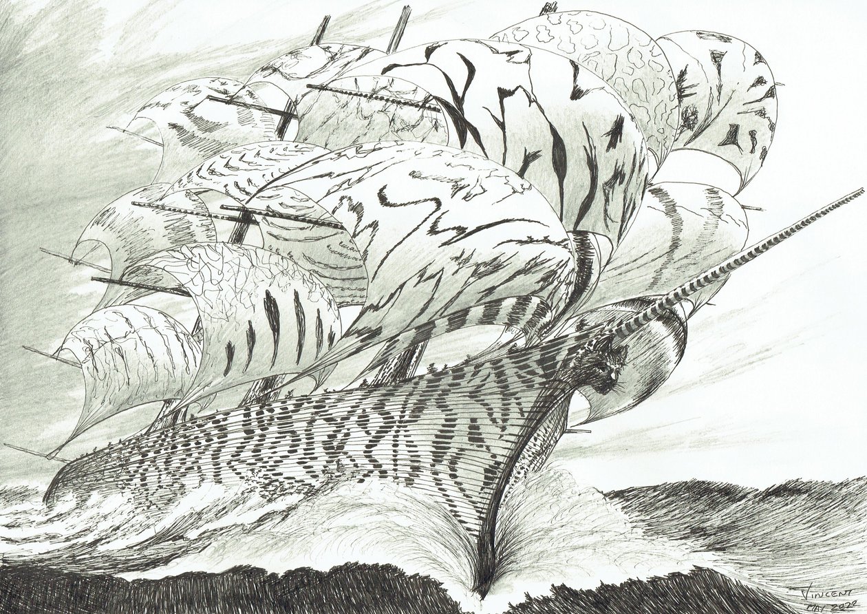 Stormscheppers Lake Kariba, 2022 door Vincent Alexander Booth