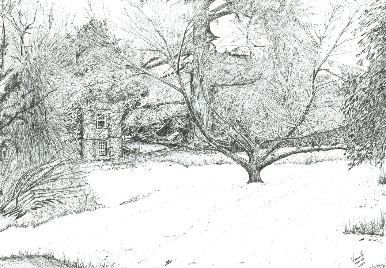 De Zakdoekboom in de Tuinen van Monk Coniston, 2024 door Vincent Alexander Booth