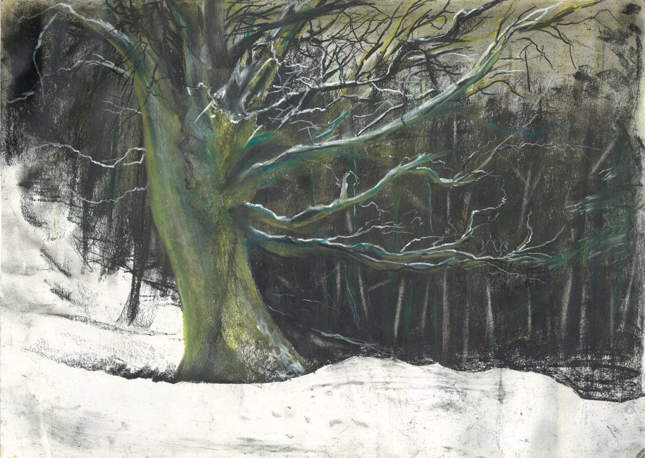 Boom in wintersneeuw in Osmotherley bossen door Vincent Alexander Booth