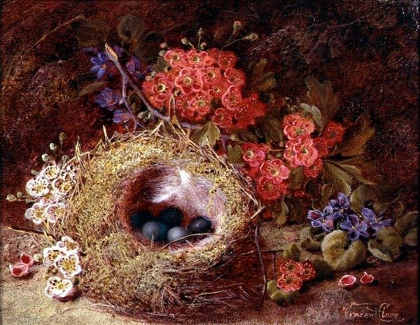 Stilleven van een vogelnest en bloesem door Vincent Clare