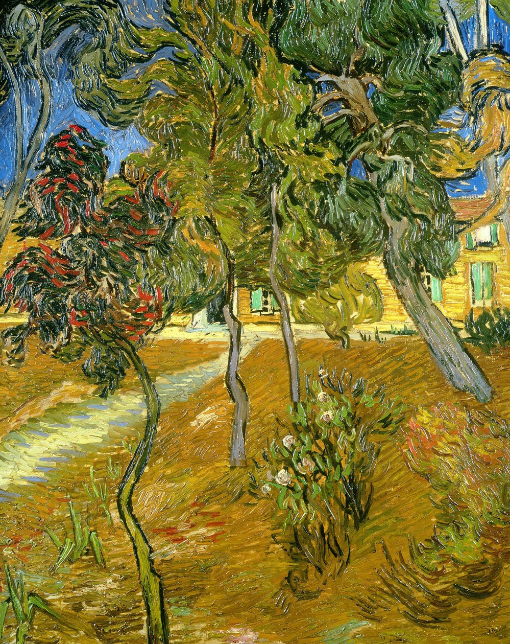 Bomen in de tuin van het asiel, 1889 door Vincent van Gogh