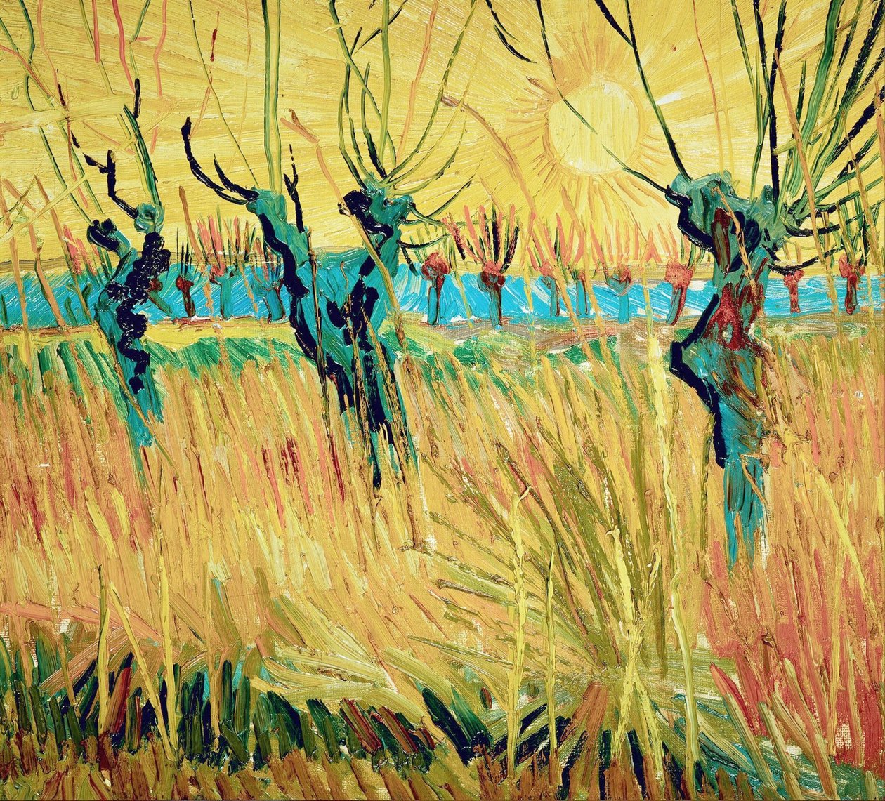 Wilgen bij zonsondergang door Vincent van Gogh