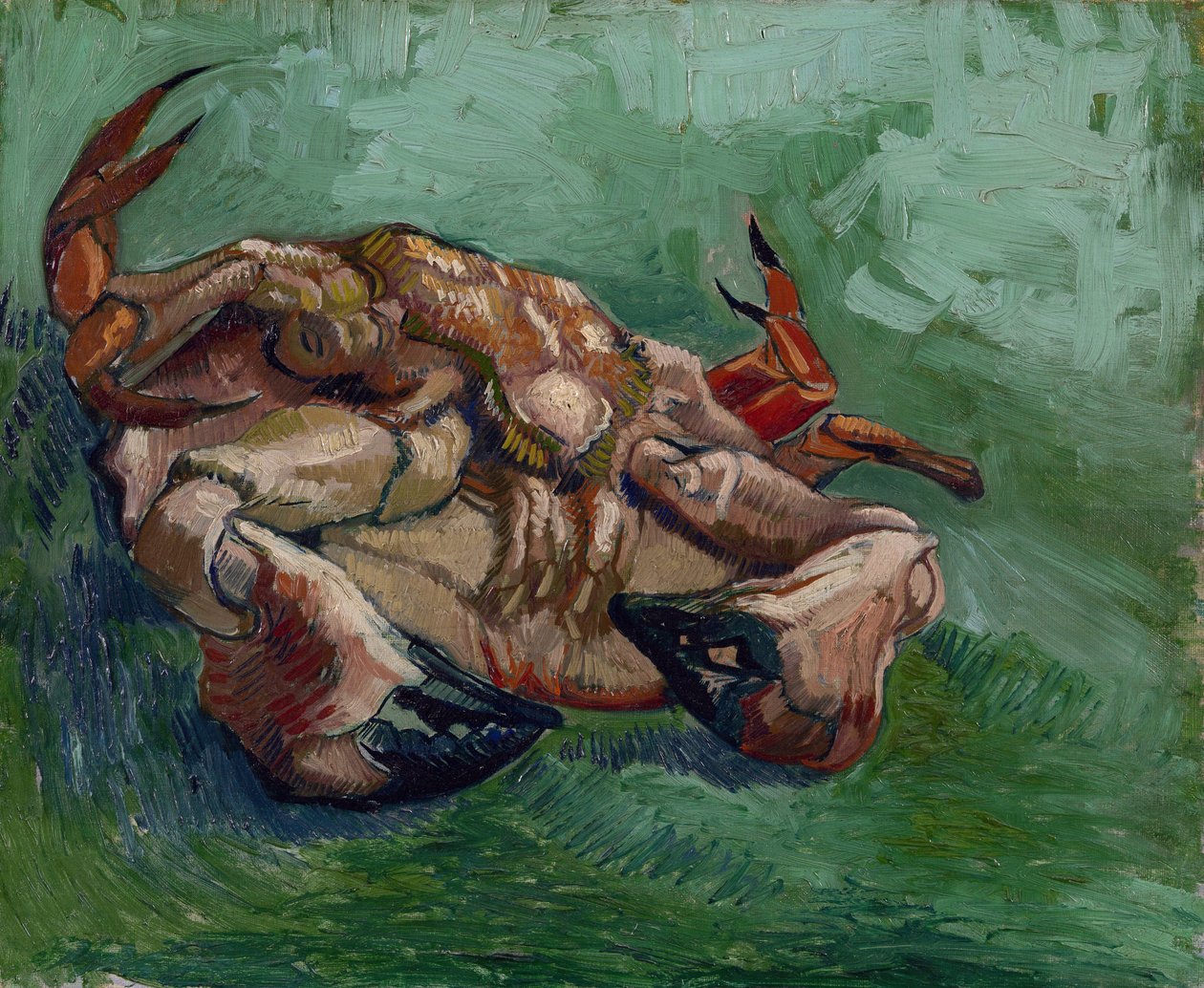 Een krab op zijn rug door Vincent van Gogh