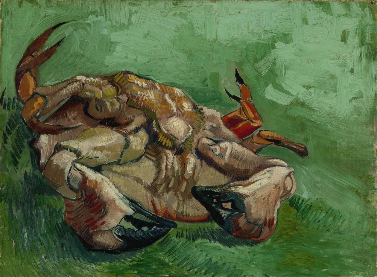 Een krab op zijn rug door Vincent van Gogh