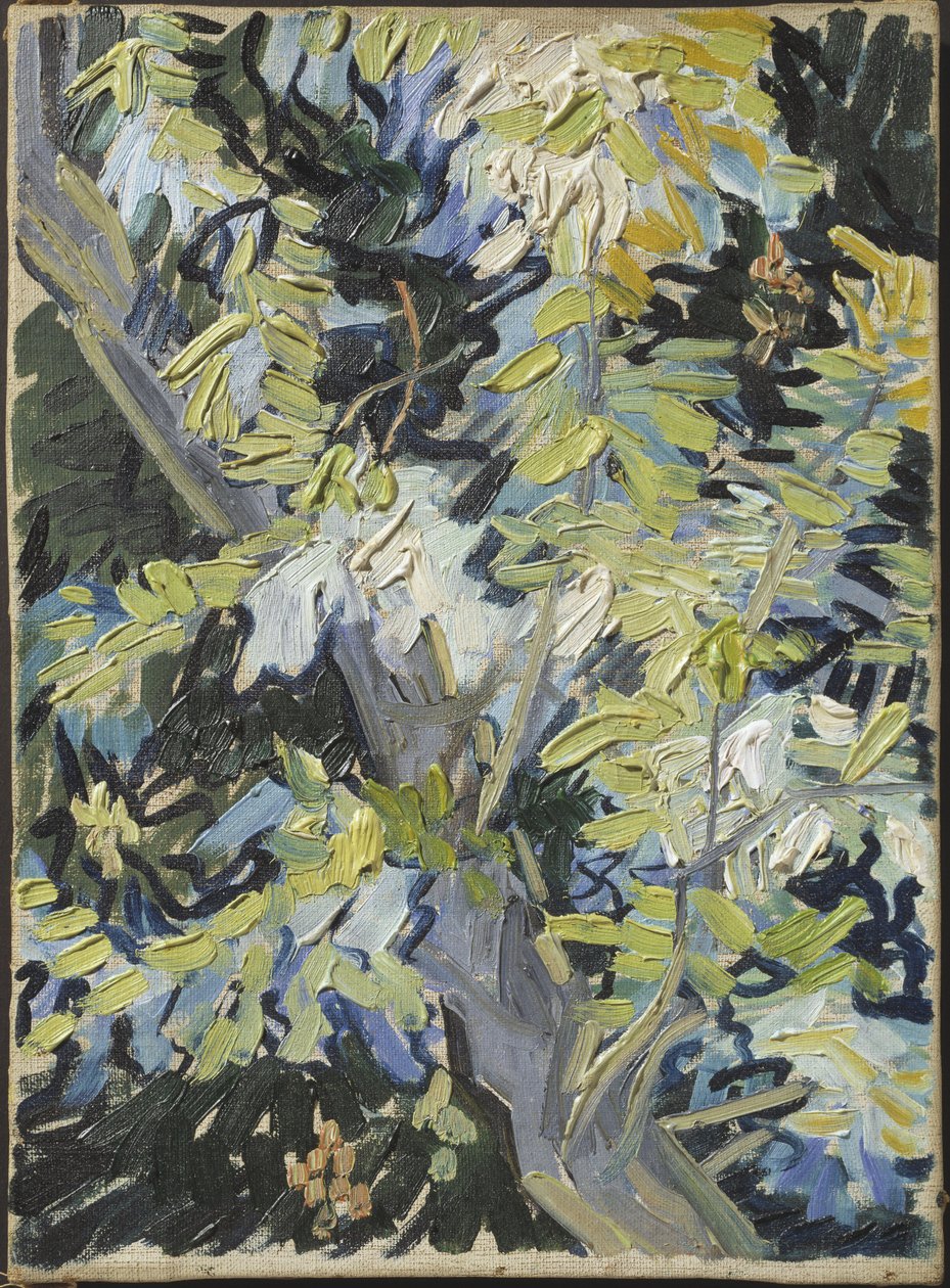 Acacia en fleur door Vincent van Gogh