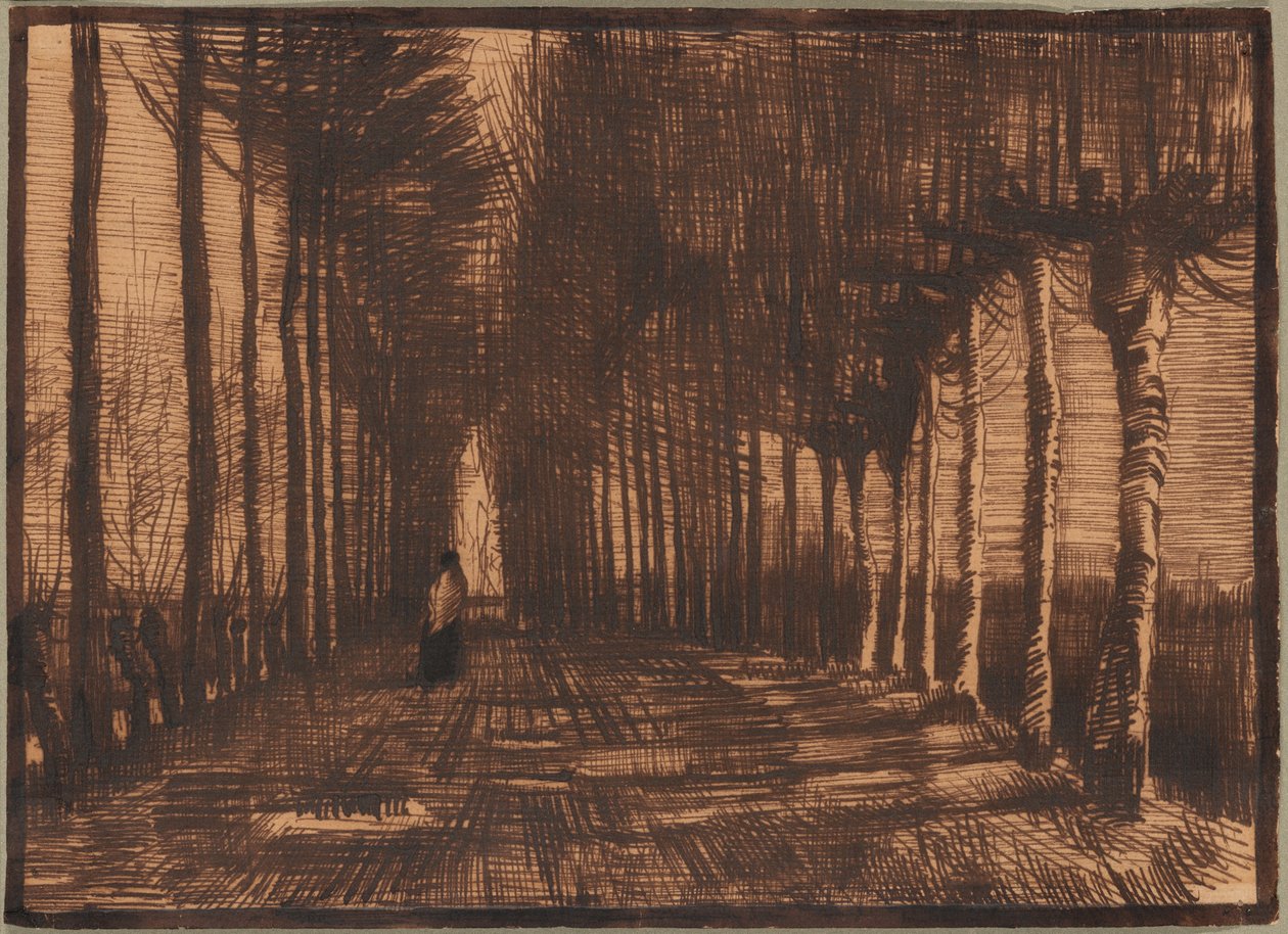 Laan van berken en populieren door Vincent van Gogh