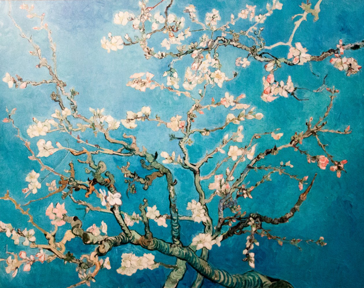 Nederlands: Amandelbloesem Bloeiende Amandelboom door Vincent van Gogh