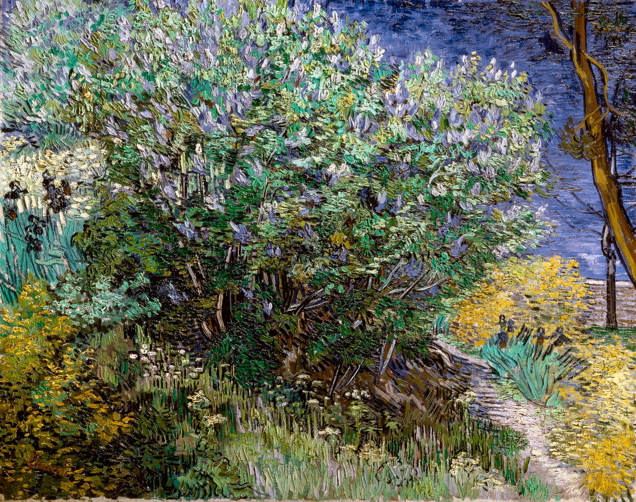 De seringstruik door Vincent van Gogh