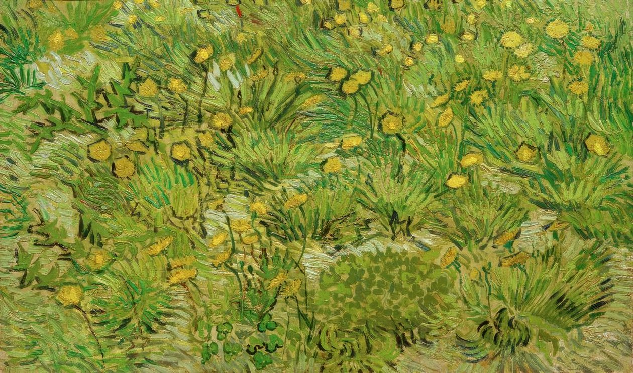 De paardenbloemen door Vincent van Gogh