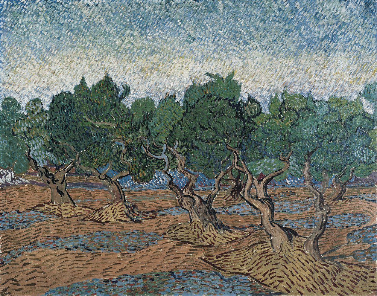 Olijfboomgaard door Vincent van Gogh