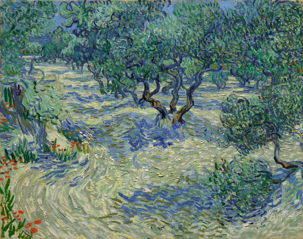 Olijfbomen / Olijfgaard door Vincent van Gogh