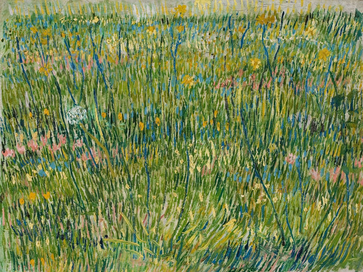 Grasveld door Vincent van Gogh
