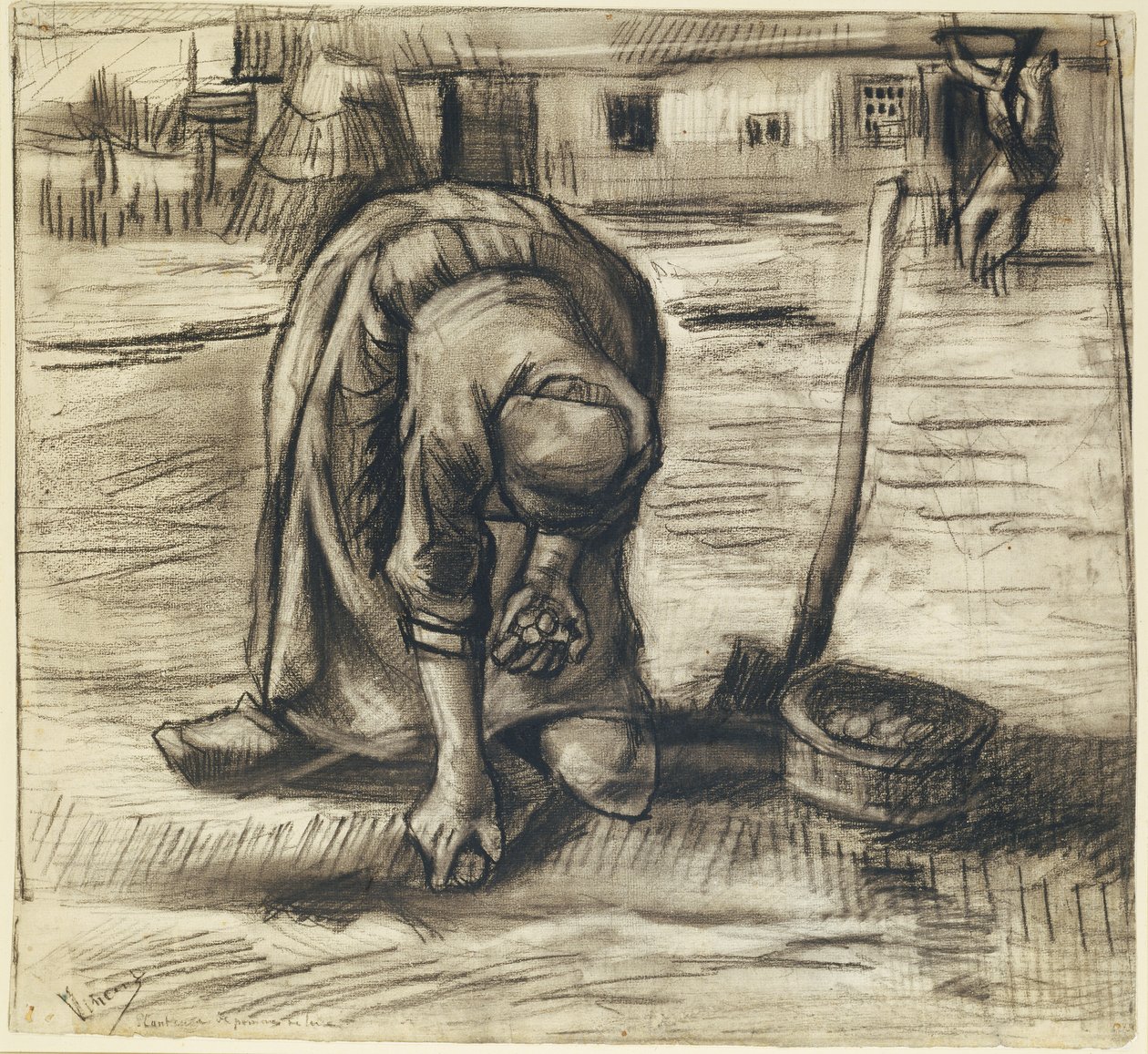 Aardappelplanter door Vincent van Gogh