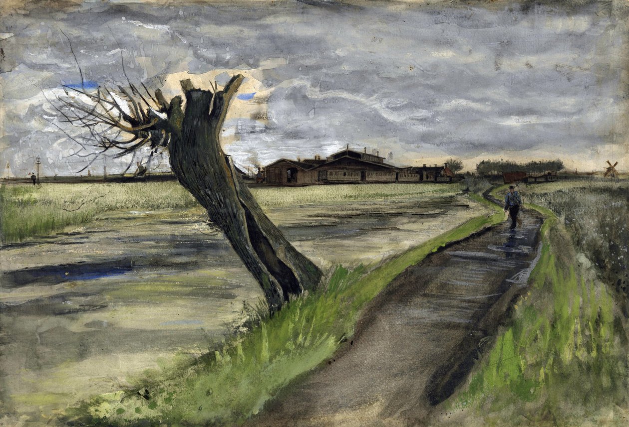 Knotwilg (saule tetard) door Vincent van Gogh