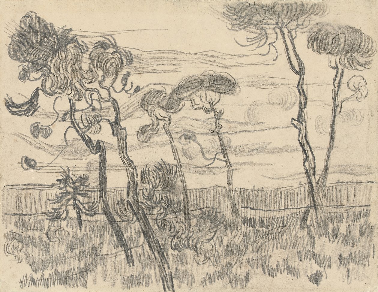 Zes pijnbomen bij de omheining, 1899 door Vincent van Gogh