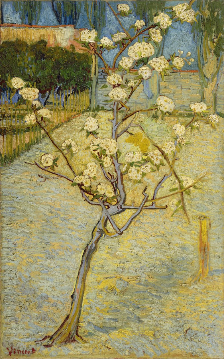 Kleine perenboom in bloei door Vincent van Gogh