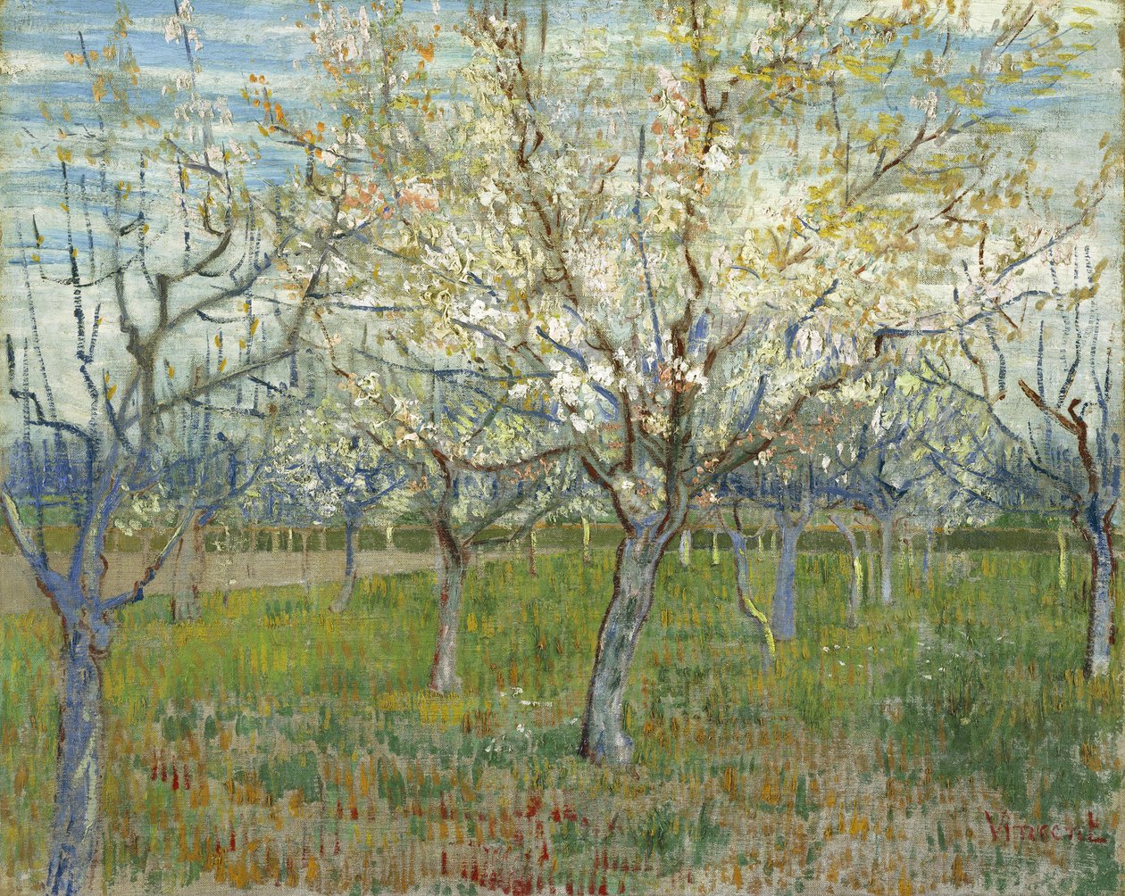 De roze boomgaard, ook Boomgaard met bloeiende abrikozenbomen door Vincent van Gogh