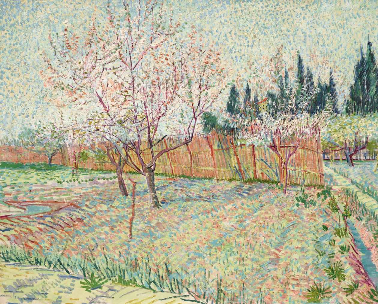 Boomgaard met cipressen door Vincent van Gogh