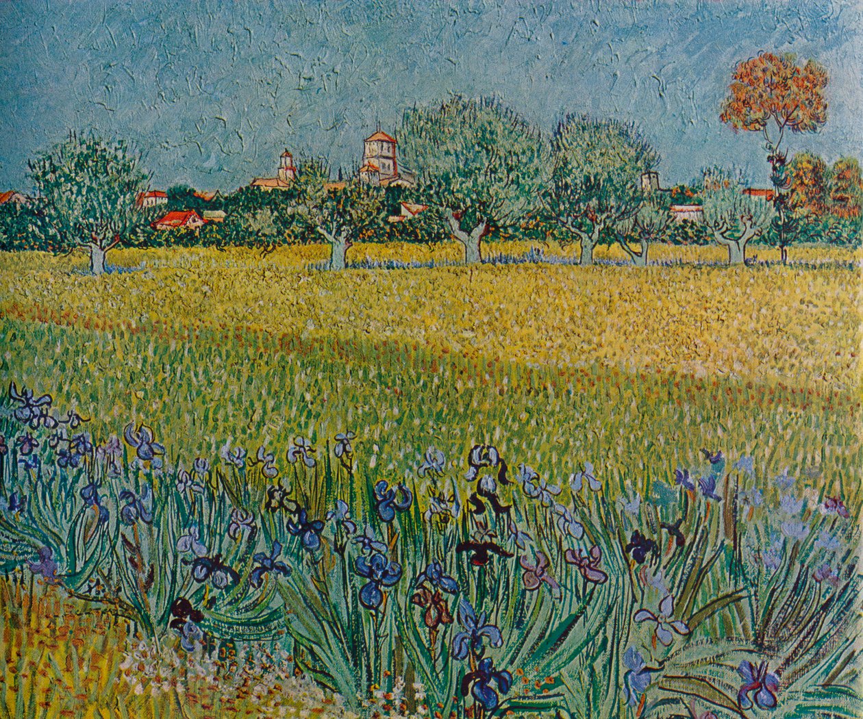 Uitzicht op Ales met bloeiende irissen, 1888 door Vincent van Gogh
