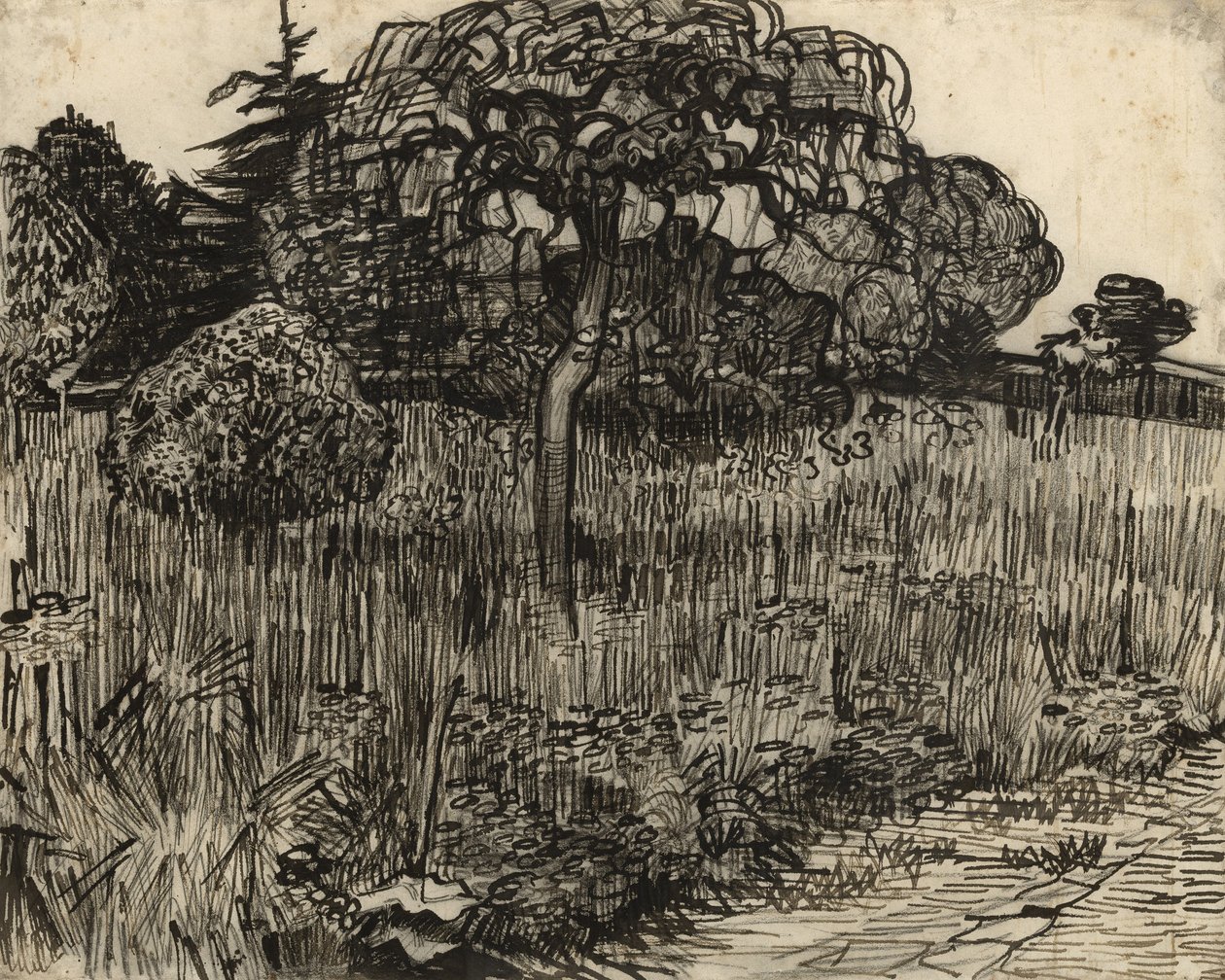 Huilende boom, 1889 door Vincent van Gogh