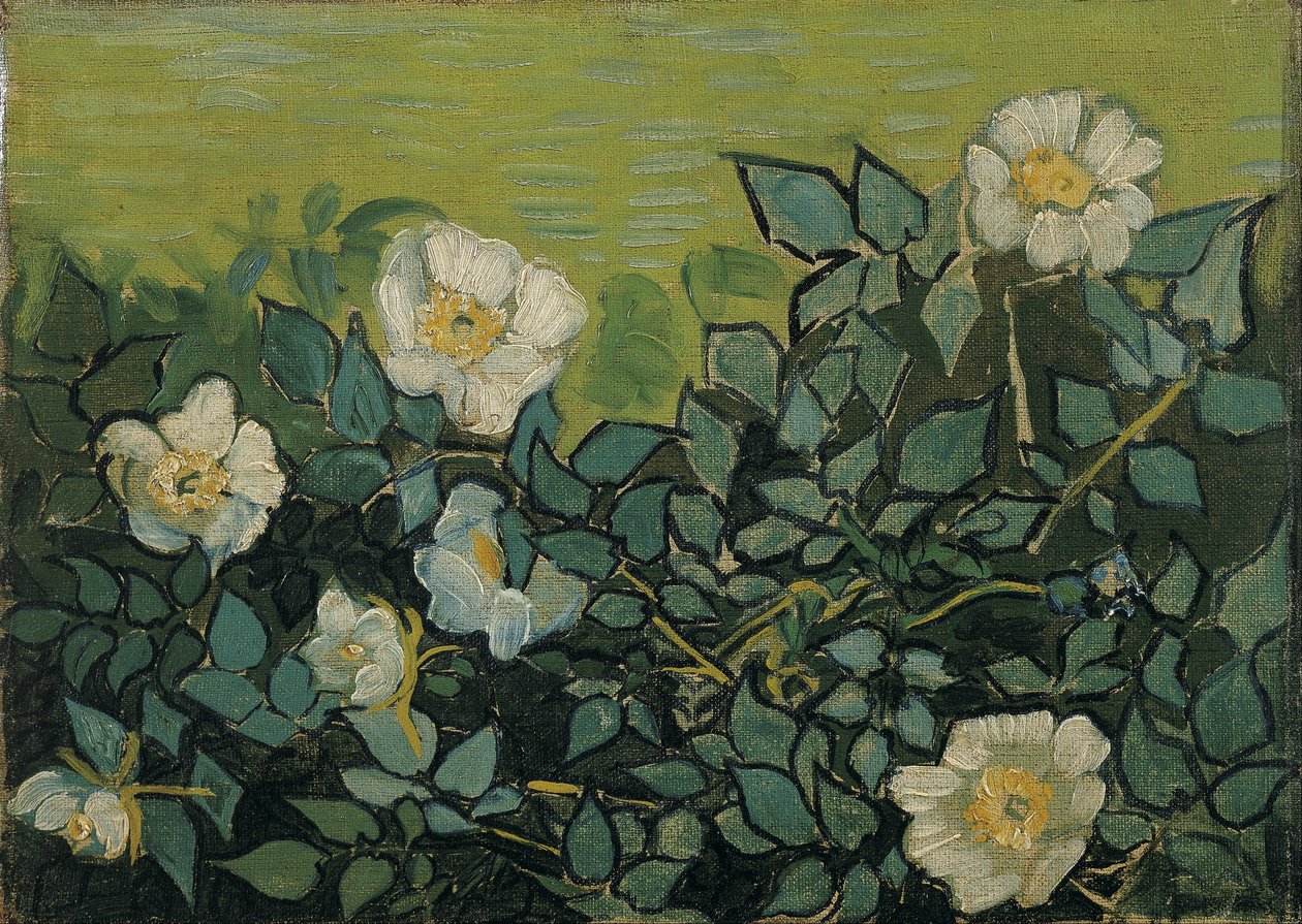 Wilde rozen door Vincent van Gogh