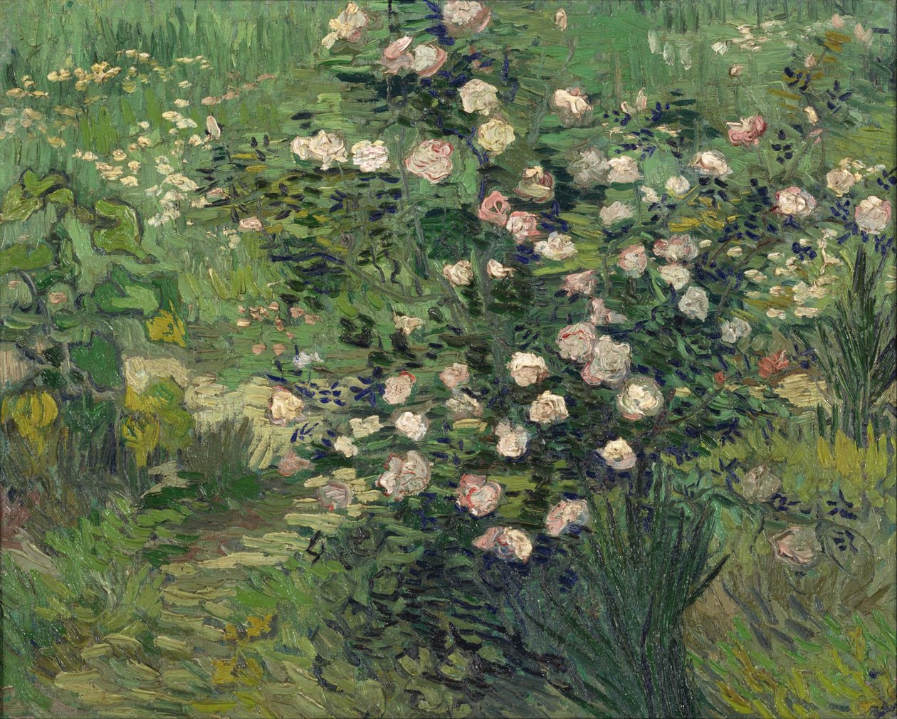 Roos door Vincent van Gogh