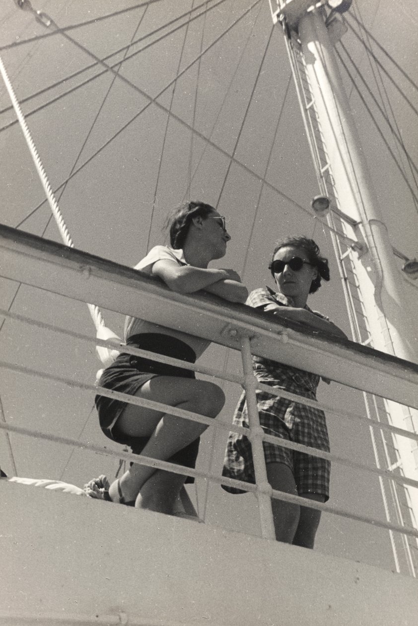 Passagiers aan boord van het cruiseschip 