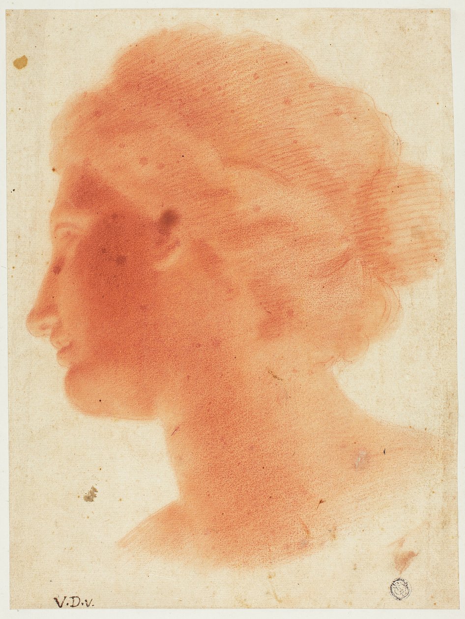 Hoofd van Venus de Medici door Vincenzo Dandini